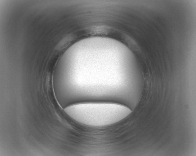 X0000082940550200702011115