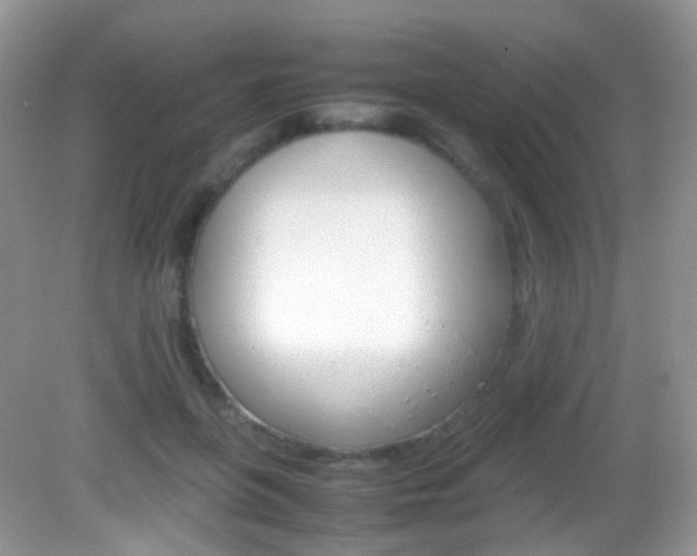 X0000082940551200702011115