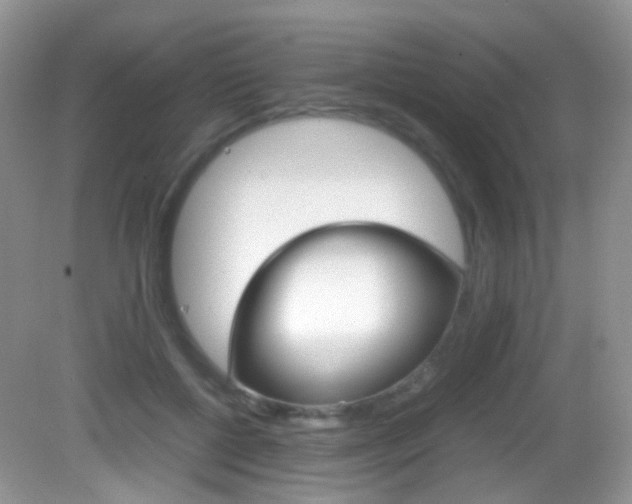 X0000082940552200702011115