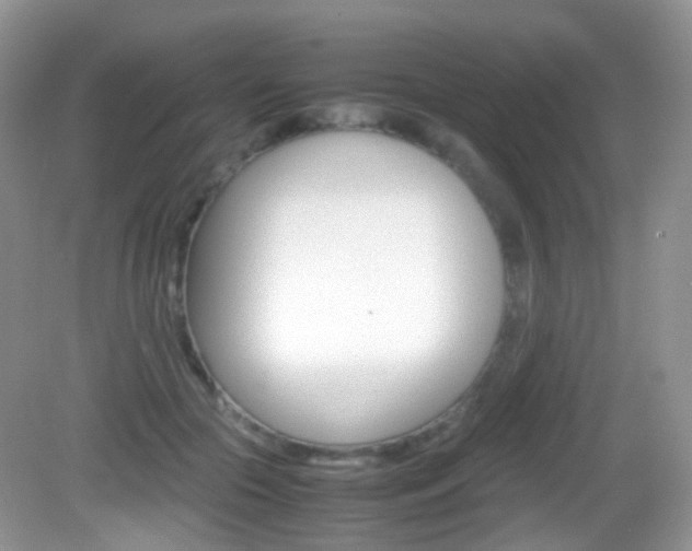 X0000082940553200702011115