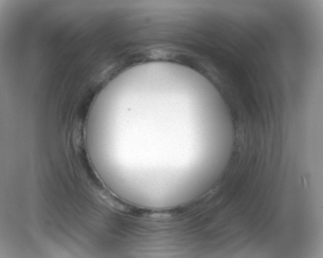 X0000082940554200702011115