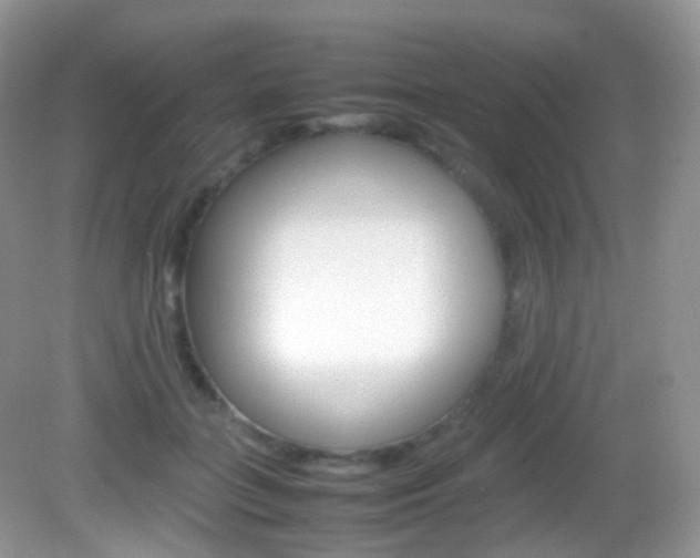 X0000082940555200702011115