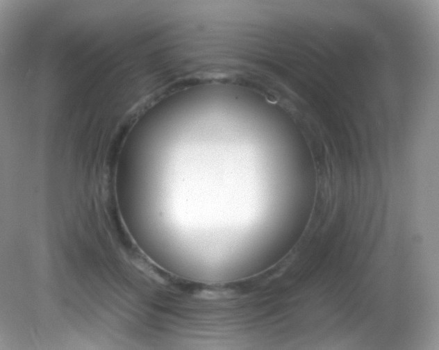 X0000082940556200702011115