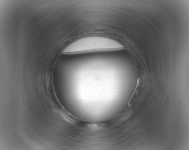 X0000082940558200702011115