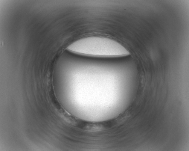 X0000082940559200702011115