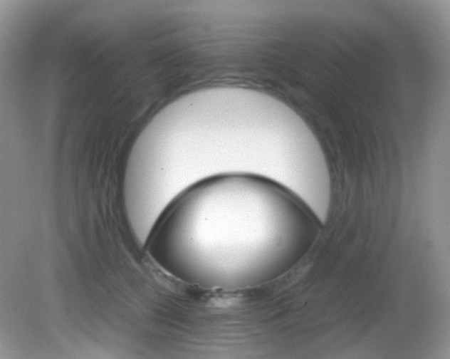 X0000082940560200702011115