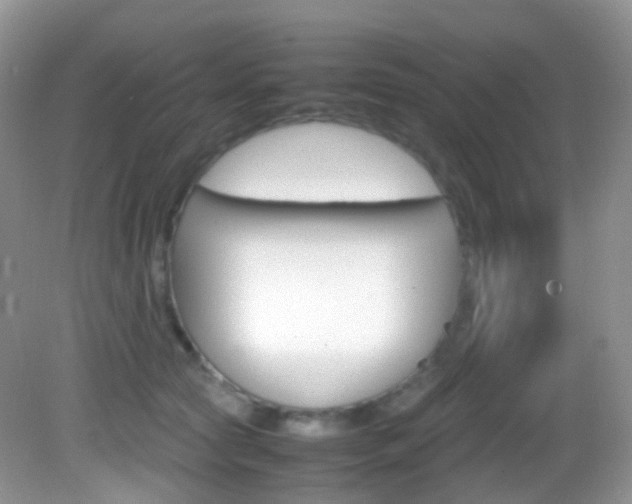 X0000082940561200702011115