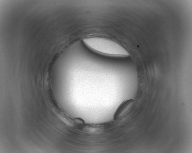 X0000082940563200702011115