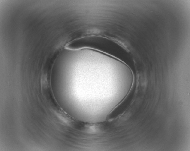 X0000082940564200702011115