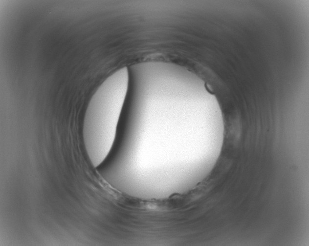 X0000082940565200702011115