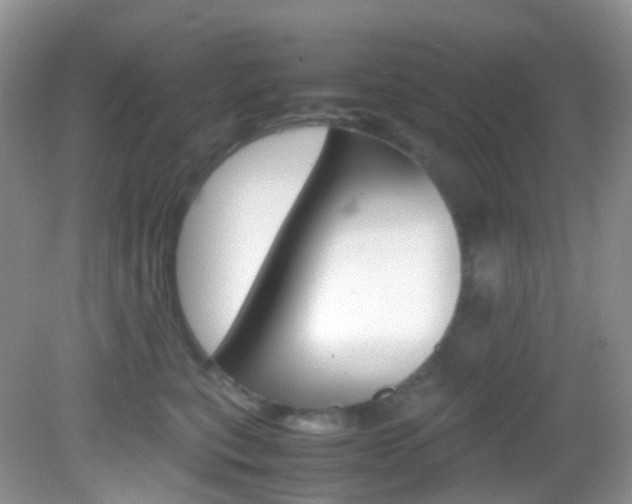 X0000082940567200702011115