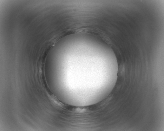 X0000082940570200702011115
