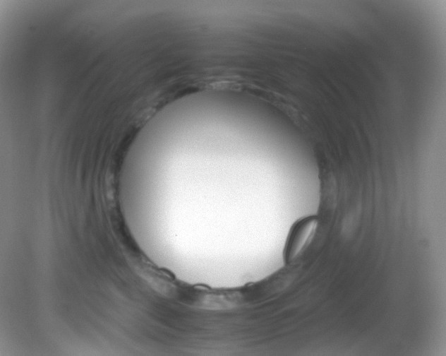 X0000082940571200702011115