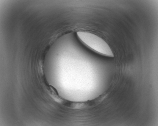 X0000082940575200702011115
