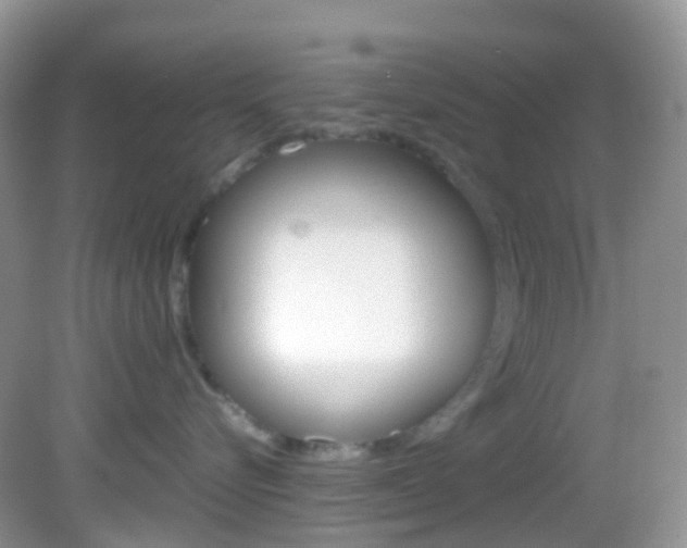 X0000082940576200702011115