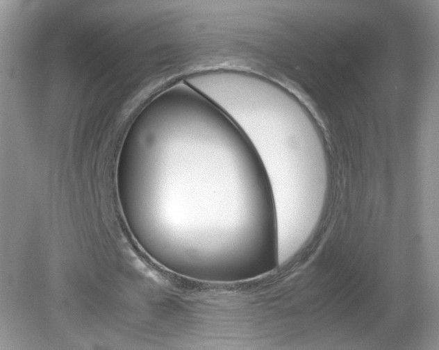 X0000082940577200702011114
