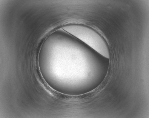 X0000082940581200702011114