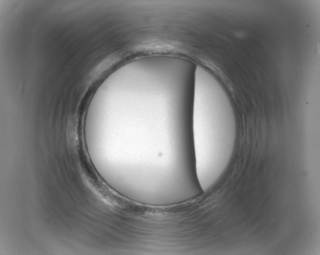 X0000082940582200702011114