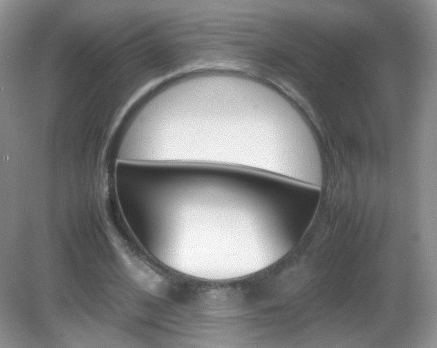 X0000082940584200702011114