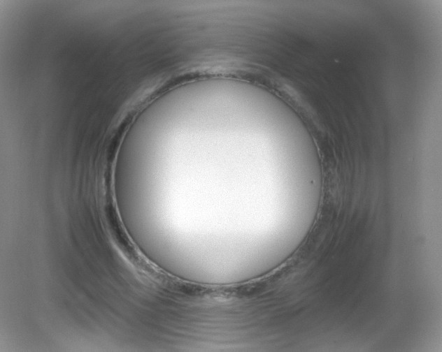 X0000082940586200702011114