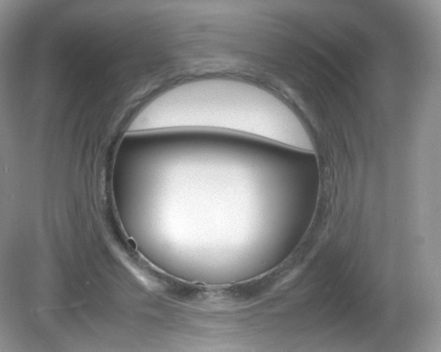 X0000082940589200702011114