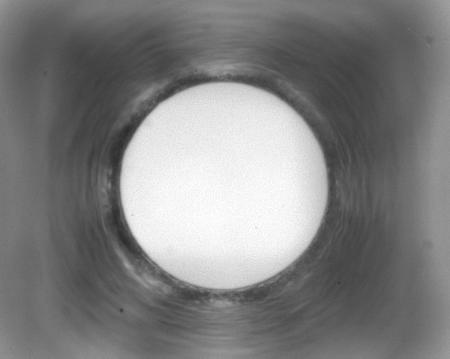 X0000082940592200702011114