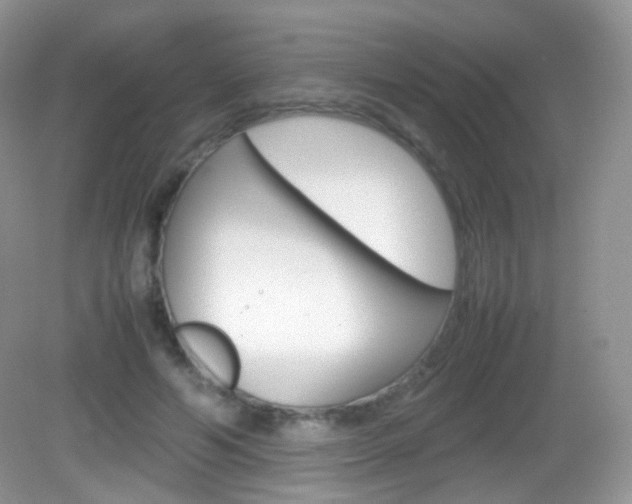 X0000082940594200702011114
