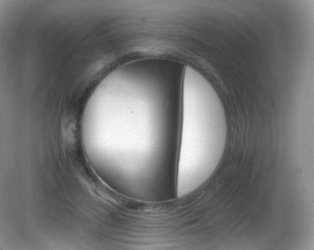 X0000082940596200702011114