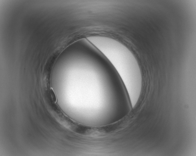 X0000082940597200702011114
