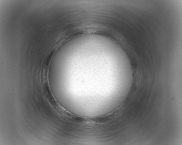 X0000082940598200702011114