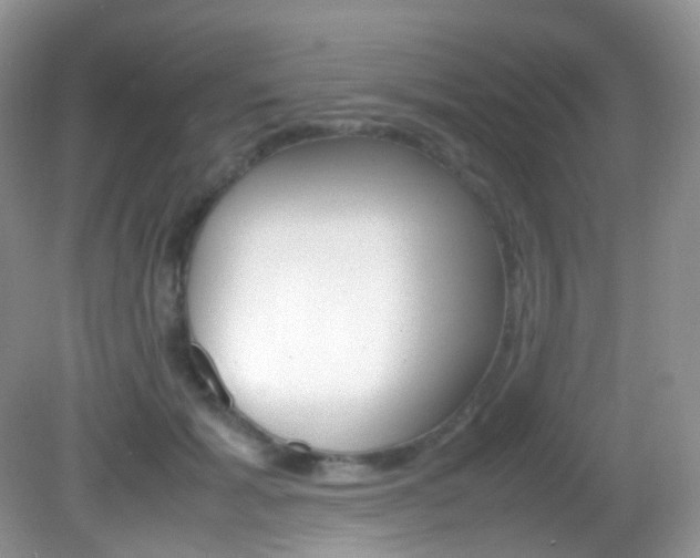X0000082940605200702011114
