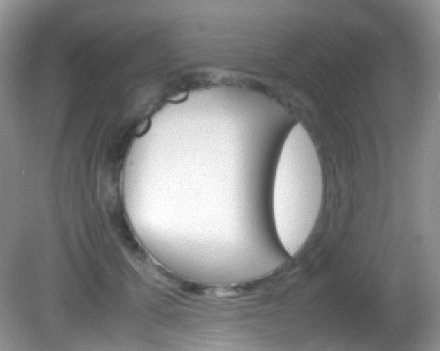 X0000082940607200702011114