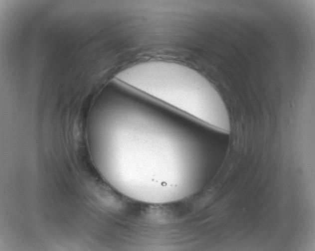 X0000082940608200702011114