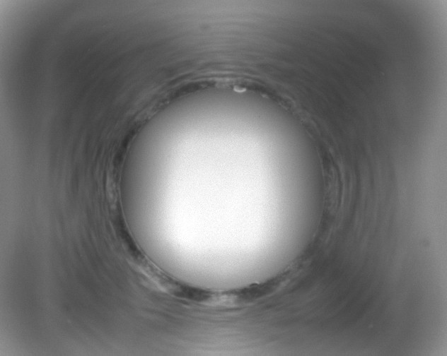 X0000082940609200702011114