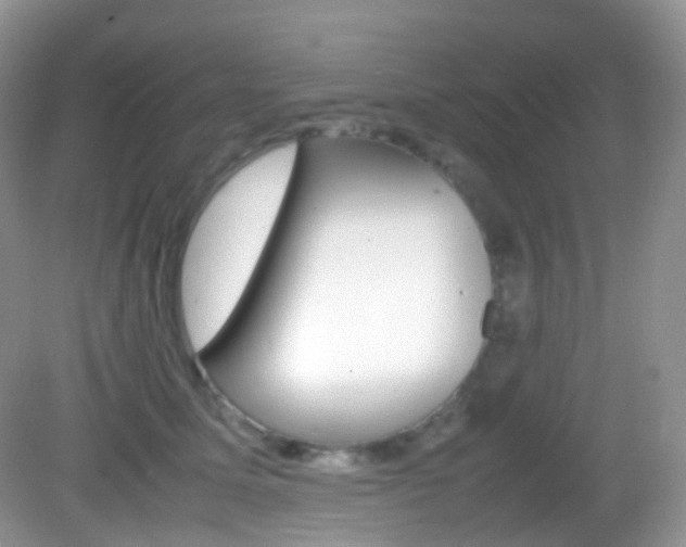 X0000082940611200702011114
