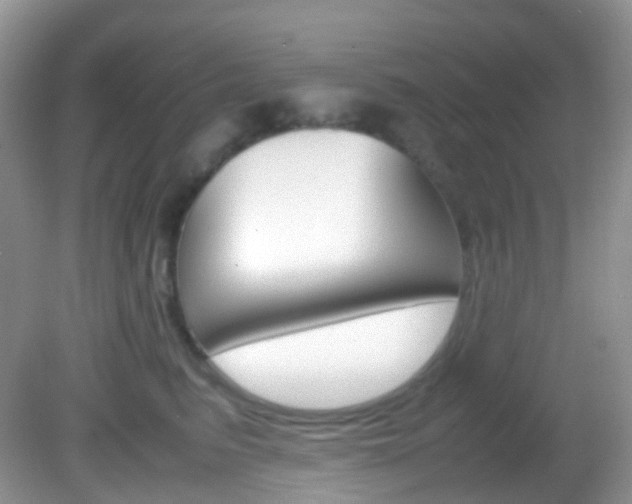 X0000082940615200702011114