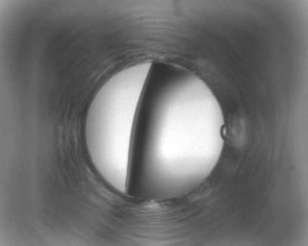X0000082940616200702011114