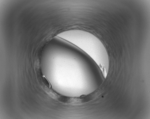 X0000082940617200702011114