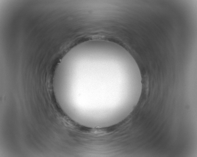 X0000082940619200702011113