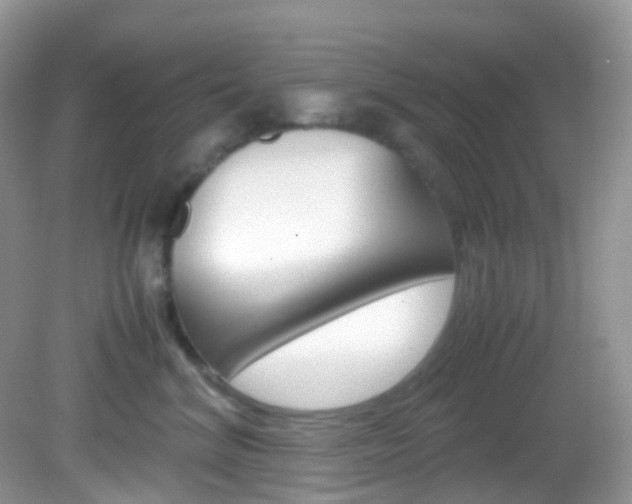 X0000082940620200702011113