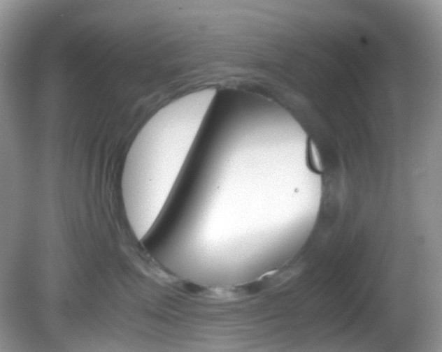 X0000082940623200702011113