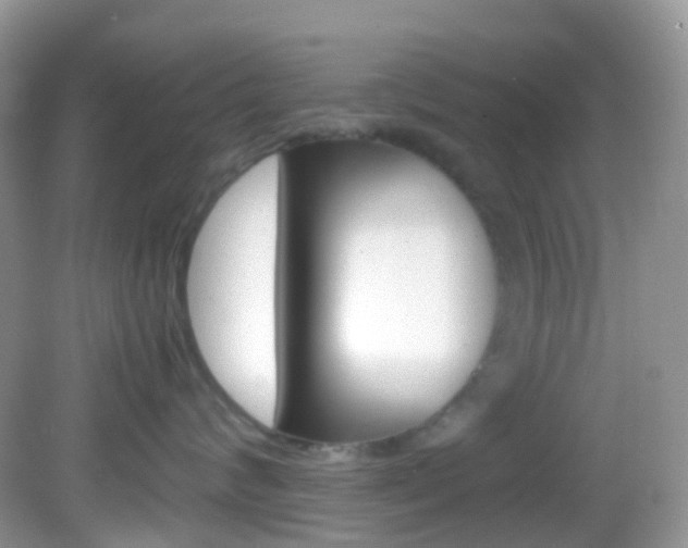 X0000082940624200702011113
