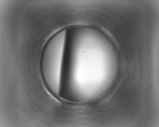 X0000082940625200702011113