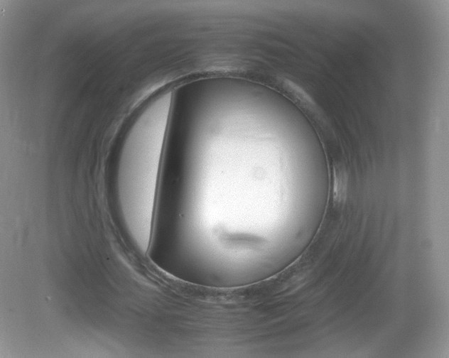 X0000082940627200702011113