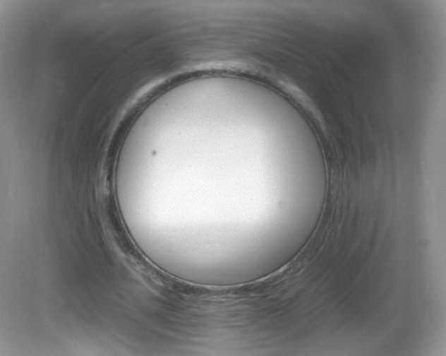 X0000082940628200702011113