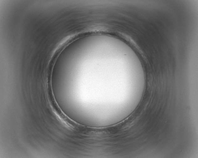 X0000082940629200702011113