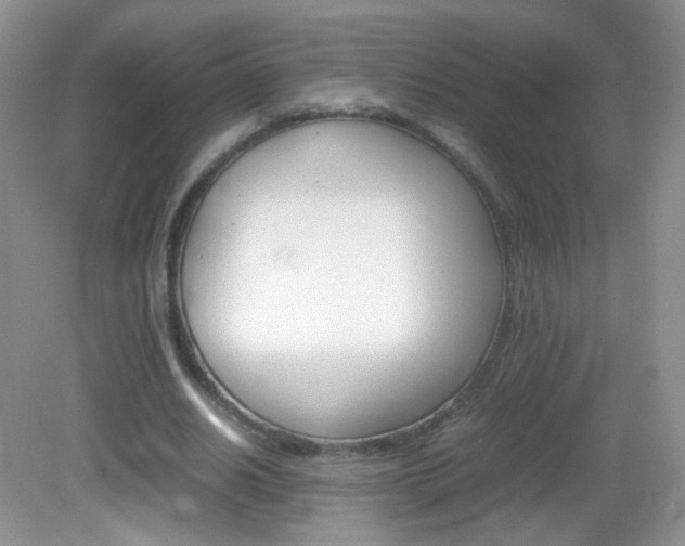 X0000082940630200702011113