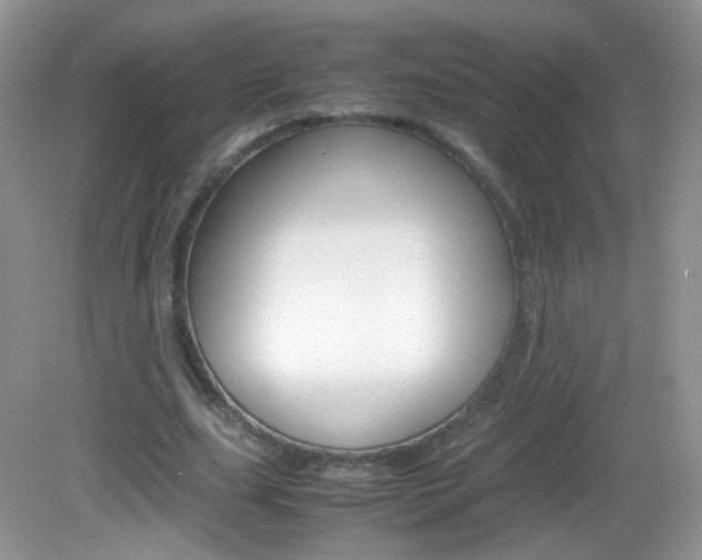 X0000082940631200702011113