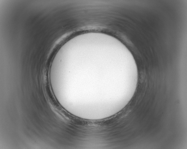 X0000082940632200702011113
