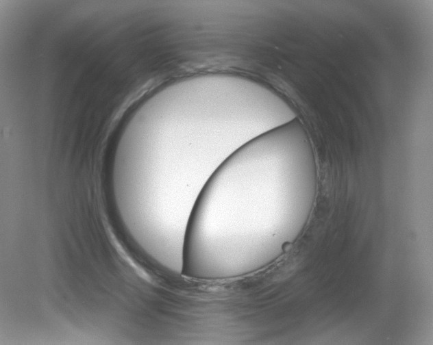 X0000082940634200702011113